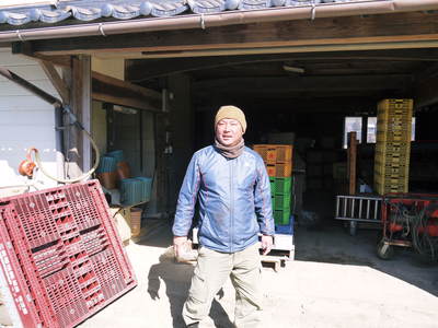 山鹿のみかん 社方園 平成30年度からのに向け、貯蔵と出荷の様子を取材してきました_a0254656_18561864.jpg