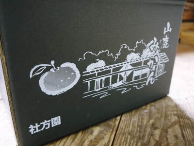 山鹿のみかん 社方園 平成30年度からのに向け、貯蔵と出荷の様子を取材してきました_a0254656_18594838.jpg
