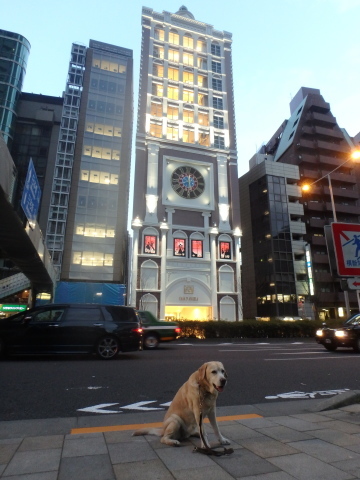f0052277_03095099.jpg