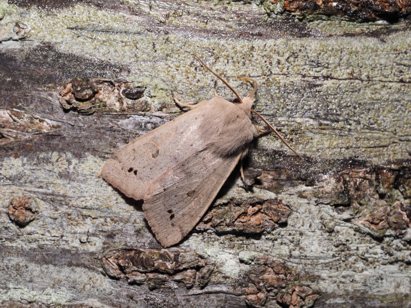 b0368380_21075111.jpg