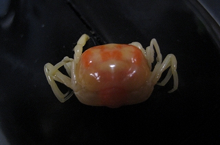 c0229483_22394152.jpg