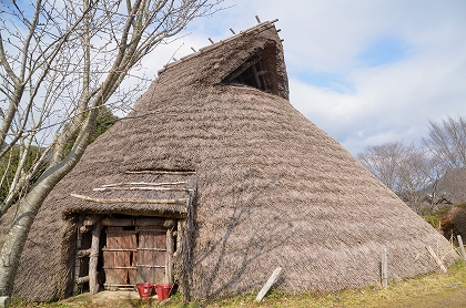 c0229483_233879.jpg