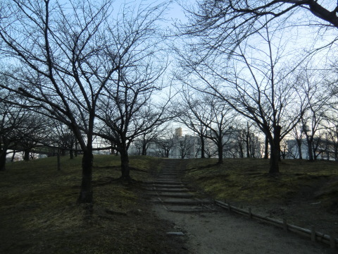 大阪城　梅、桃、桜_b0176192_12323429.jpg