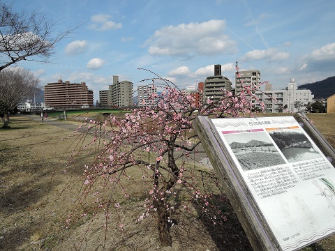 e0081292_021751.jpg