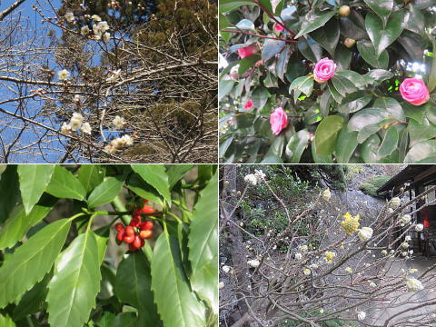 d0046702_19271606.jpg
