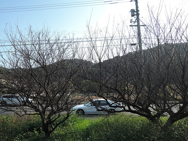 d0168406_18391441.jpg