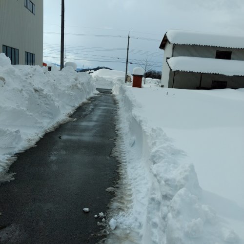 33年ぶりの大雪 - Tottori Style