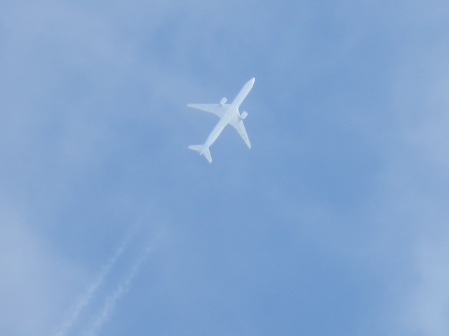 d0351213_19394567.jpg