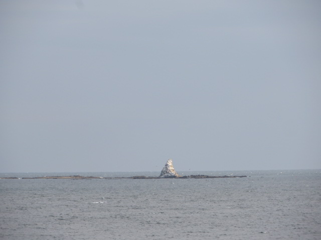 d0351213_19395941.jpg