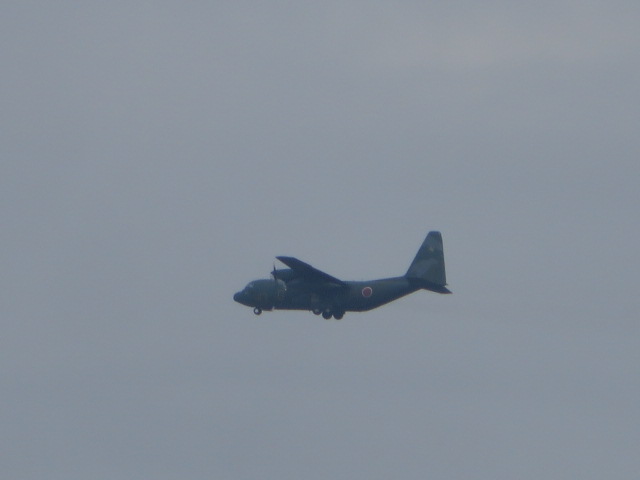 d0351213_19405316.jpg