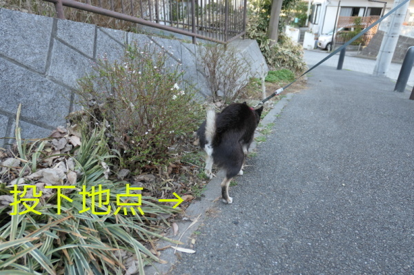 f0369014_10243007.jpg