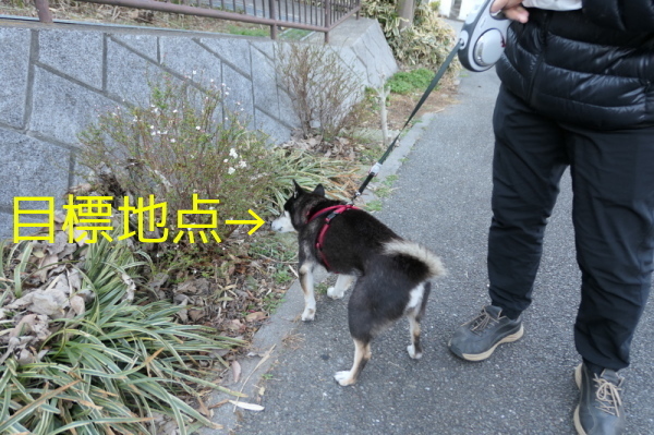 f0369014_10273890.jpg