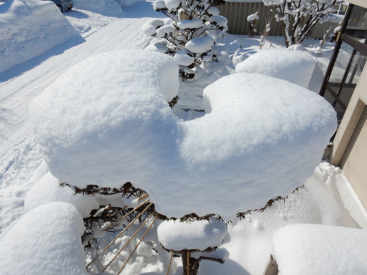流れる雪_c0025115_21032581.jpg