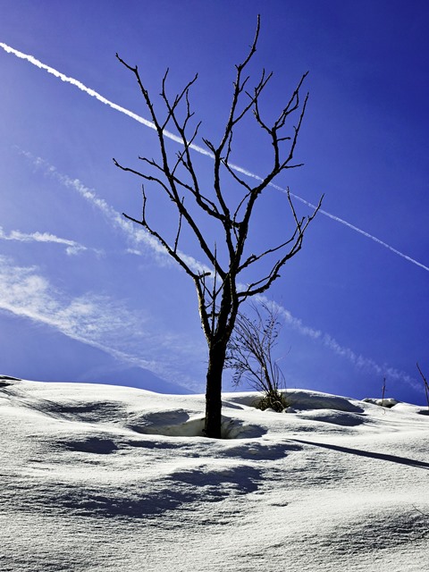 ☀・現在の積雪62㎝・・朽木小川・気象台より_c0044819_926142.jpg