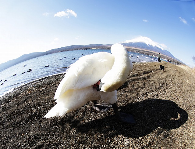 曽我直子さんの作品です　富士山撮影ツアー_a0300121_829085.jpg
