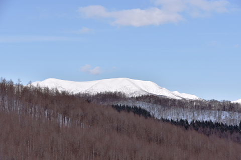 モアン山の今（2017年2月26日）その2_b0082121_12335477.jpg