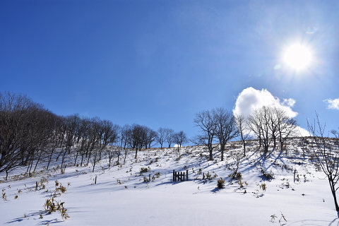 モアン山の今（2017年2月26日）その2_b0082121_1235253.jpg