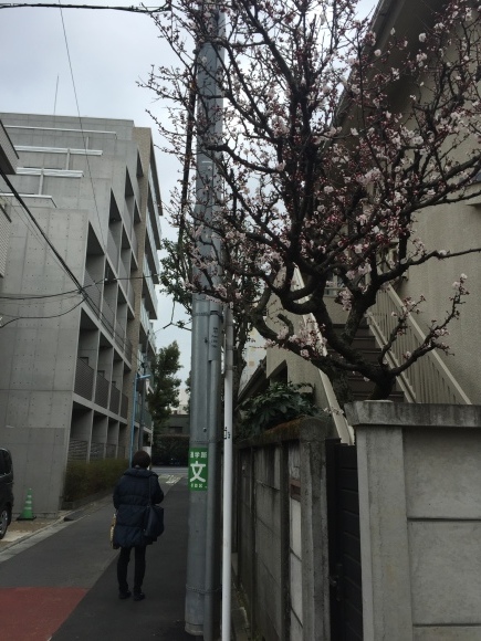 b0164428_13425040.jpeg