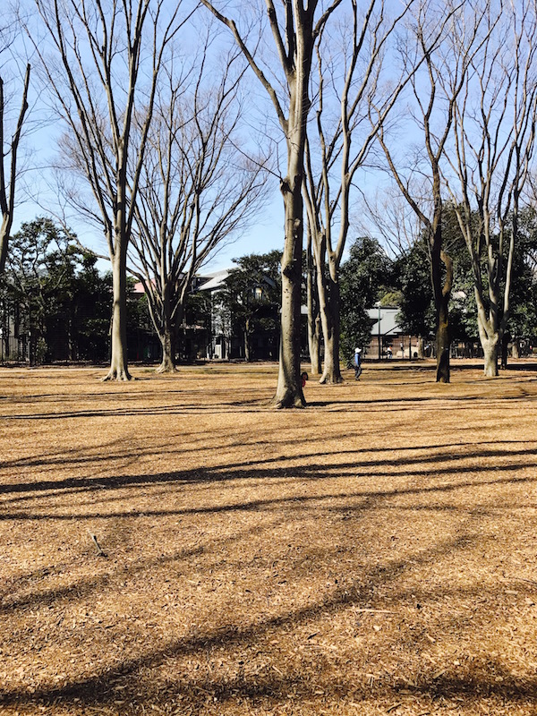 sunday_b0172633_13243685.jpg