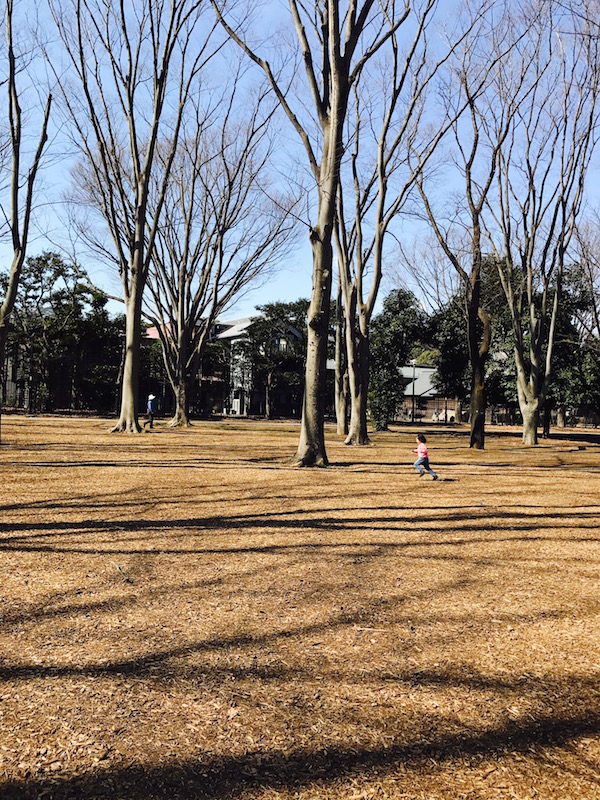 sunday_b0172633_1325557.jpg
