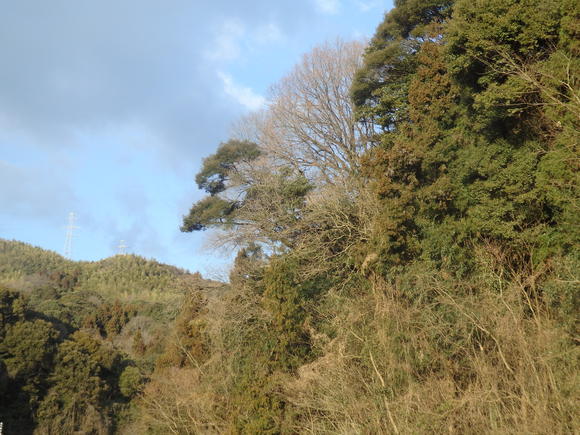 a0054240_20432827.jpg
