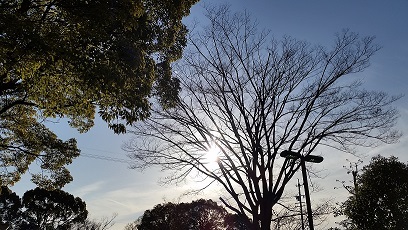 e0319042_23222551.jpg