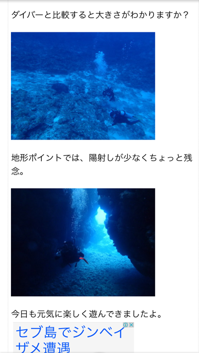 【突然ですがシリーズ①】面白そう・・_a0346455_14011240.png