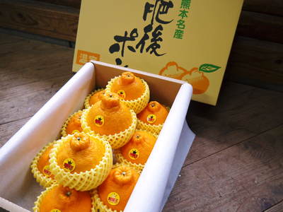 デコポン(肥後ポン) 眠りから覚めた柑橘王!!蔵出し完熟デコポン『不知火』予約販売受付スタート!2017_a0254656_16552945.jpg