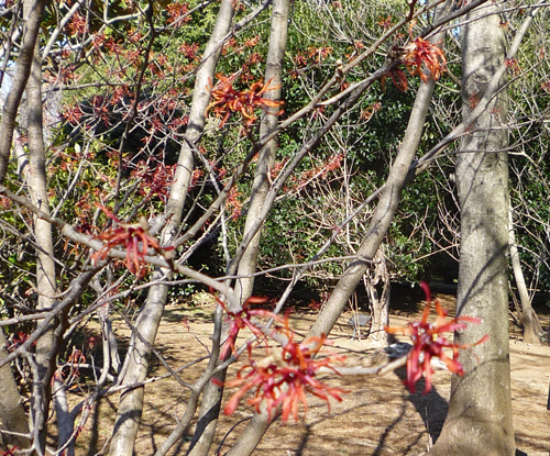 b0045357_7464478.jpg