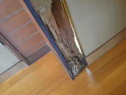 b0129758_1012265.gif
