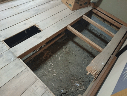 b0129758_101255.gif