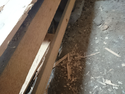 b0129758_1013324.gif