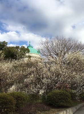 b0145863_23211729.jpg