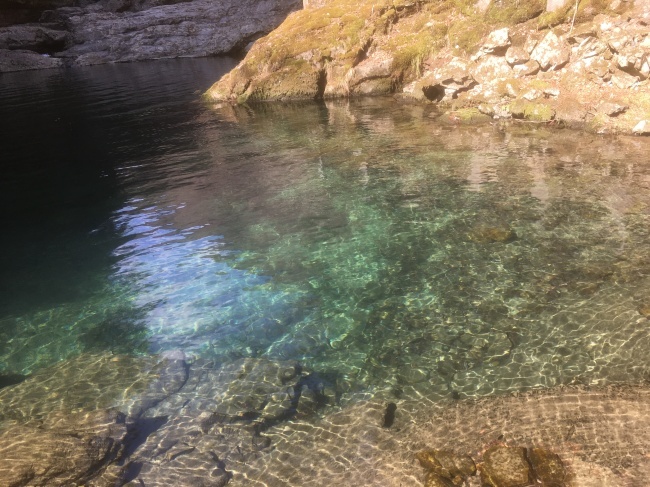 e0187064_19162783.jpg