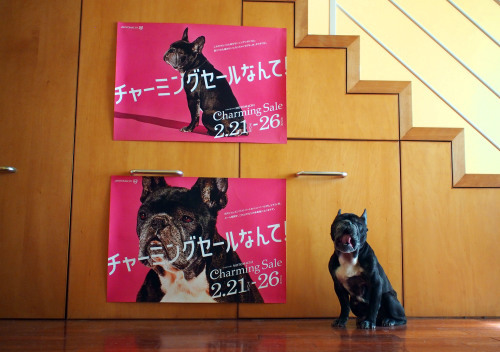 Cojill in pink!_e0243765_14241451.jpg