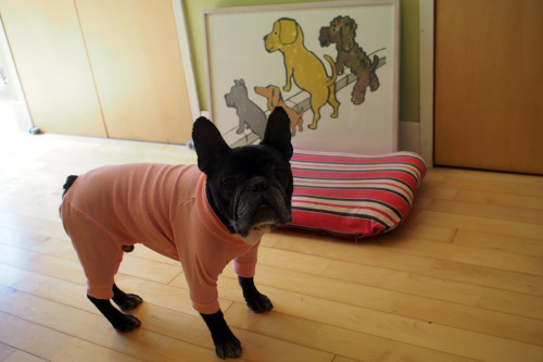 Cojill in pink!_e0243765_14293555.jpg