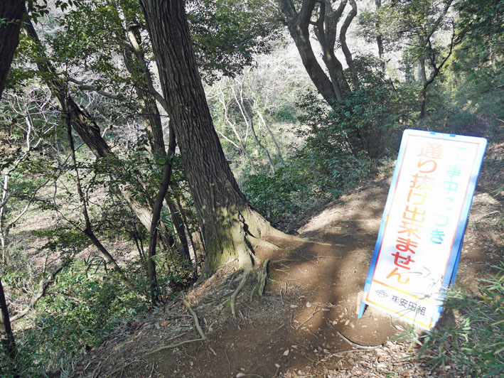 台峯谷戸の池浚渫のための仮設道路施設工事ほぼ完了_c0014967_1824156.jpg