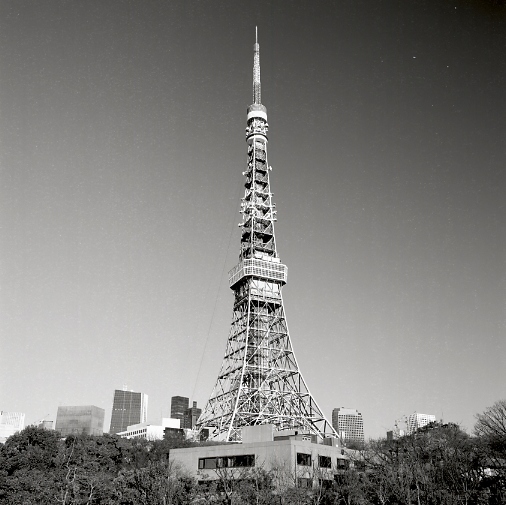 Tokyo Tower 　～ Monochrome Version ～_d0013868_00591073.jpg