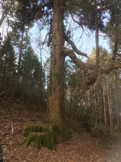 f0238070_16452710.jpeg