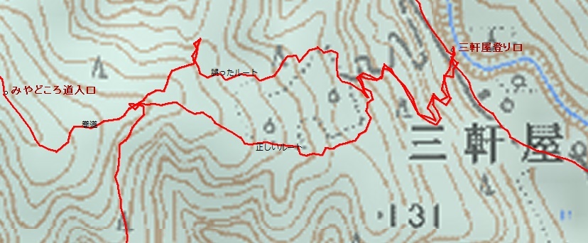 トレイルラン　高尾山南尾根～藍染山南尾根～万石山西尾根_a0320976_20463284.jpg