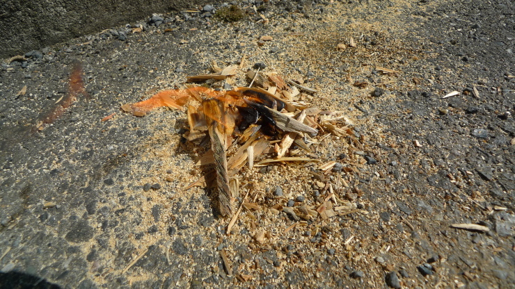 c0212083_18203599.jpg