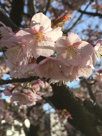 d0101787_18292231.jpeg