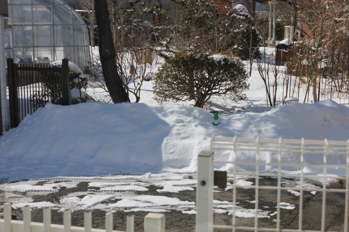 春に向けて_a0292194_1719695.jpg