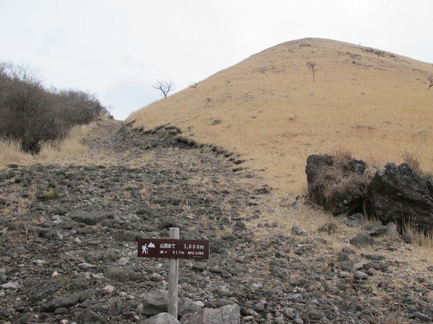 由布岳麓の中山を登る　2017.2.26（日）_a0166196_1158583.jpg