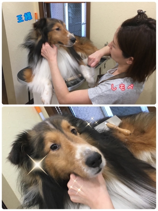 d0269898_18431030.jpeg