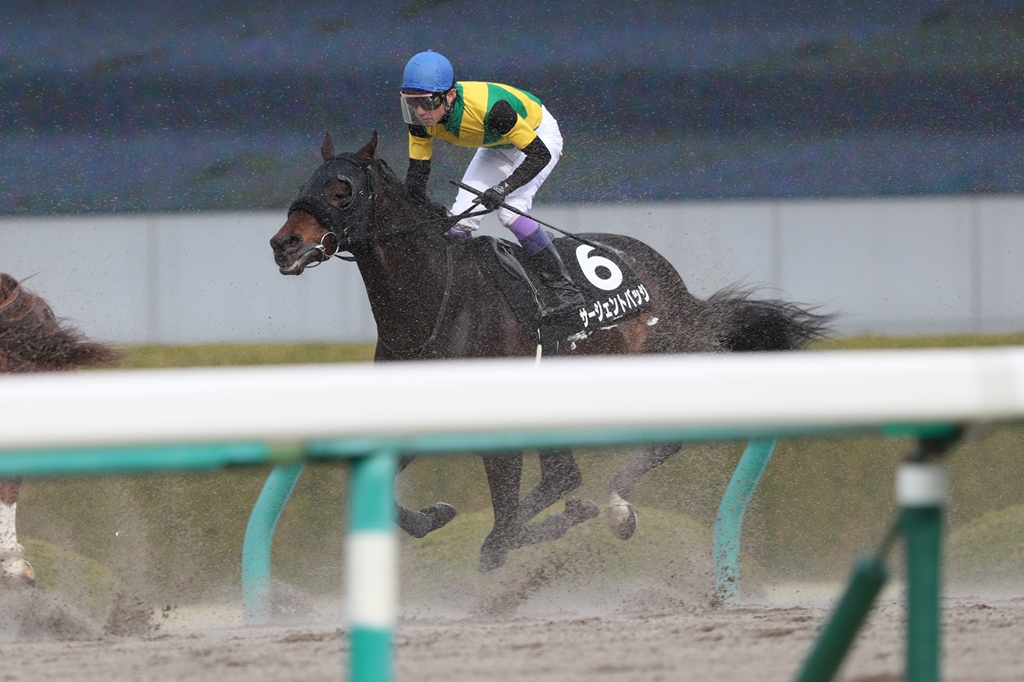 2017年2月26日　阪急杯（ＧⅢ）＆武幸四郎引退式_f0204898_6391359.jpg