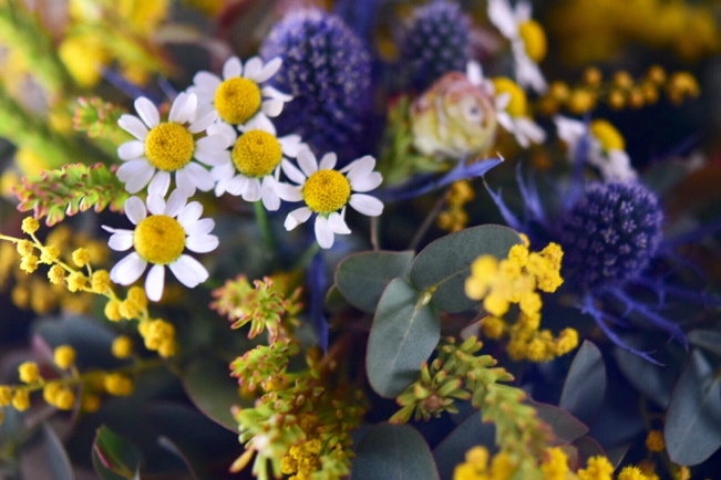 ミモザとユーカリのナチュラルな春待ちリース 薔薇好き花好き庭が好き 元英国在住 アートセラピストが造る癒しの庭