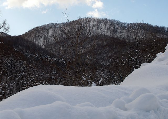 a0345007_11491655.jpg