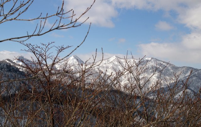 a0345007_1155735.jpg