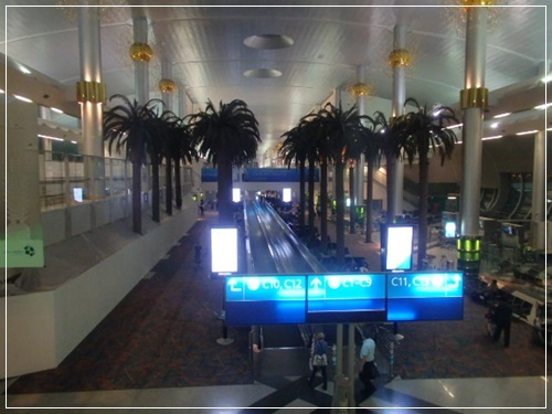 b0172915_08371569.jpg